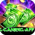 IPL Betting Pakistan King Gaming App