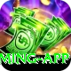 IPL Betting Pakistan King Gaming App